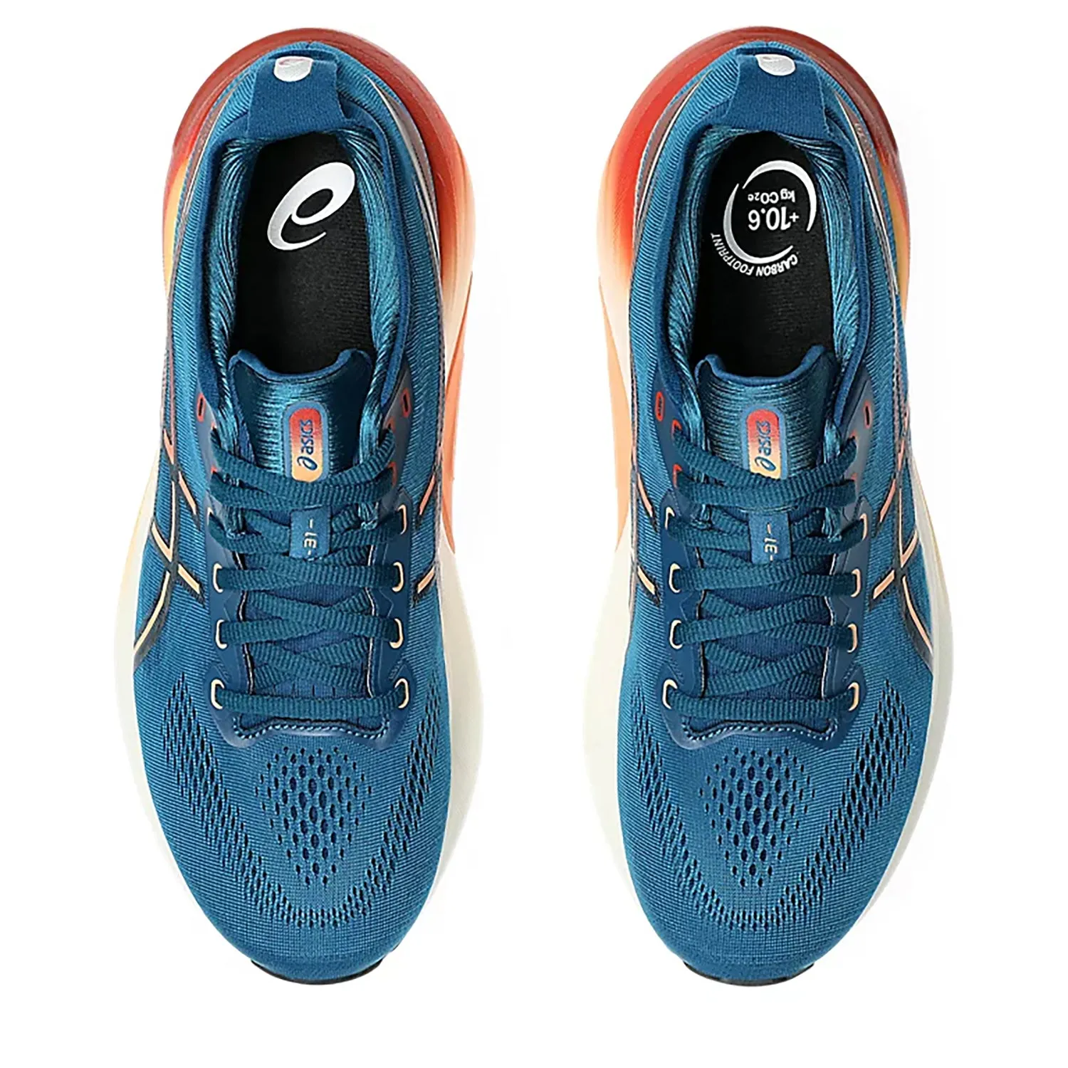 Asics Gel-Kayano 31 Men's Running Shoes