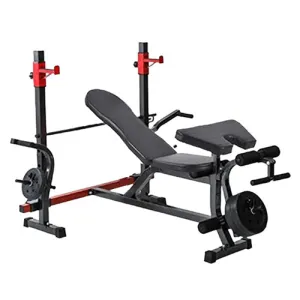 BodyFit Weight Lifting Gym Fitness Multi Function Bench Press Situp - (Weight plates not included