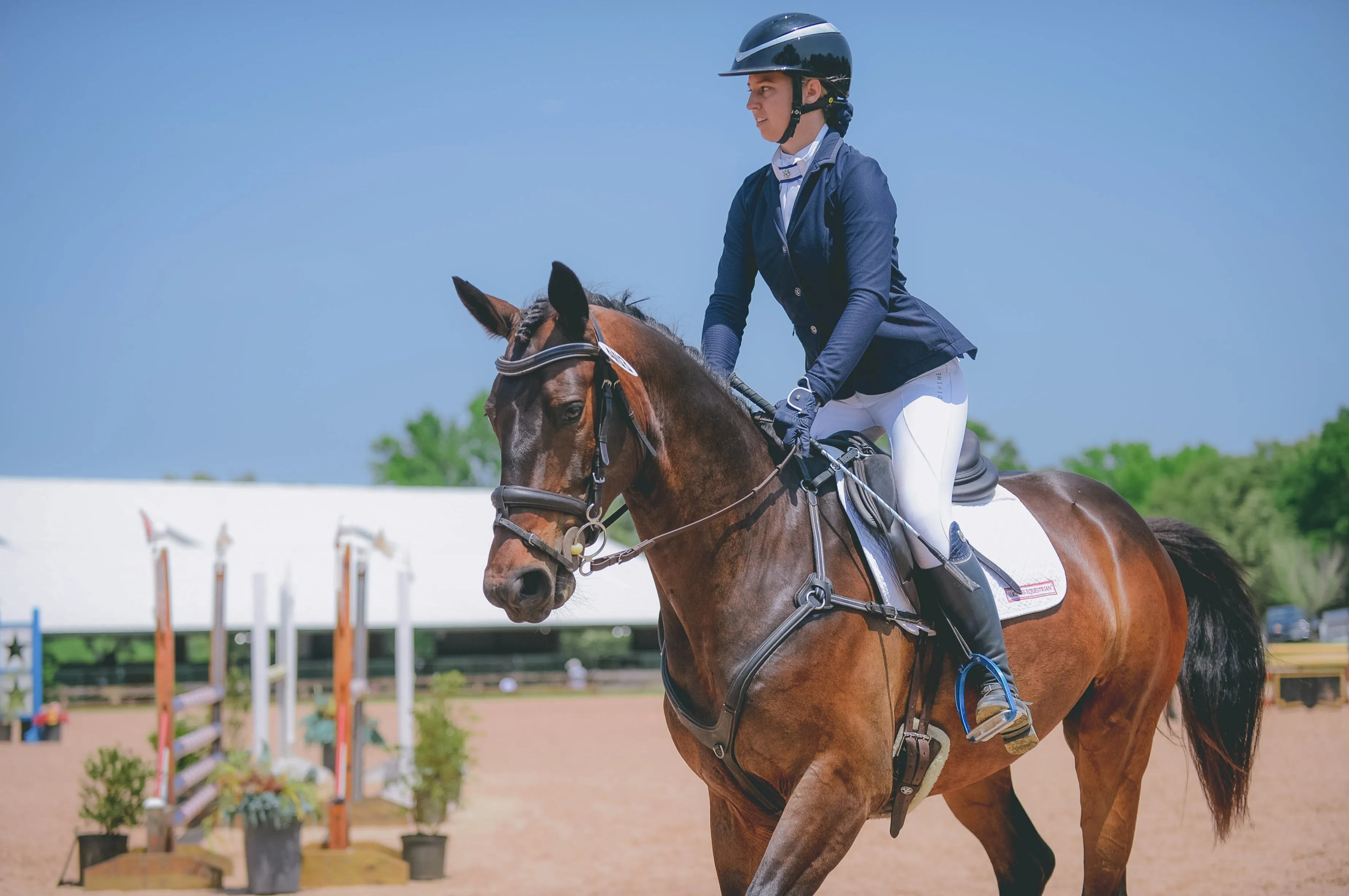 Dignified Competition Breeches - White