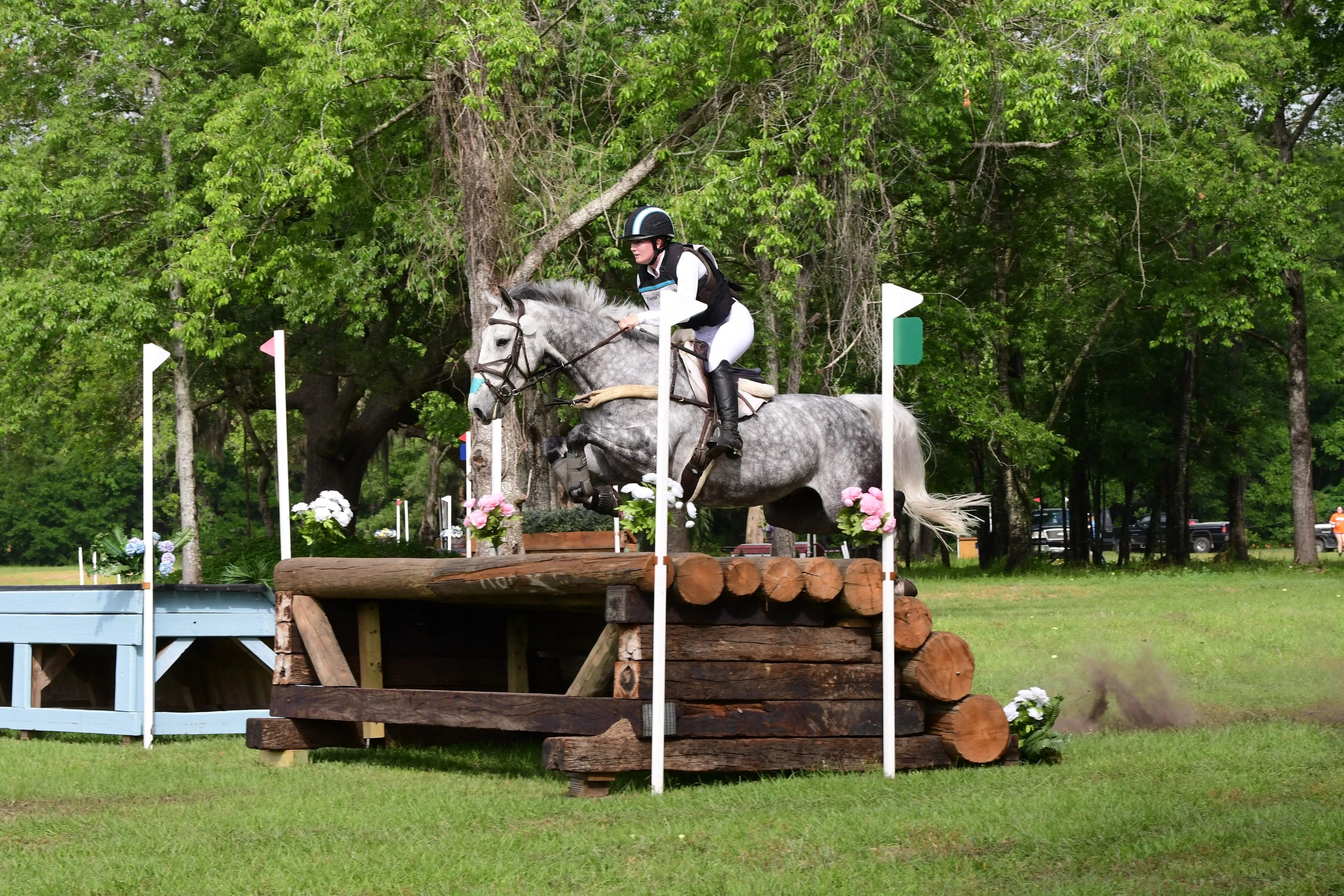 Dignified Competition Breeches - White