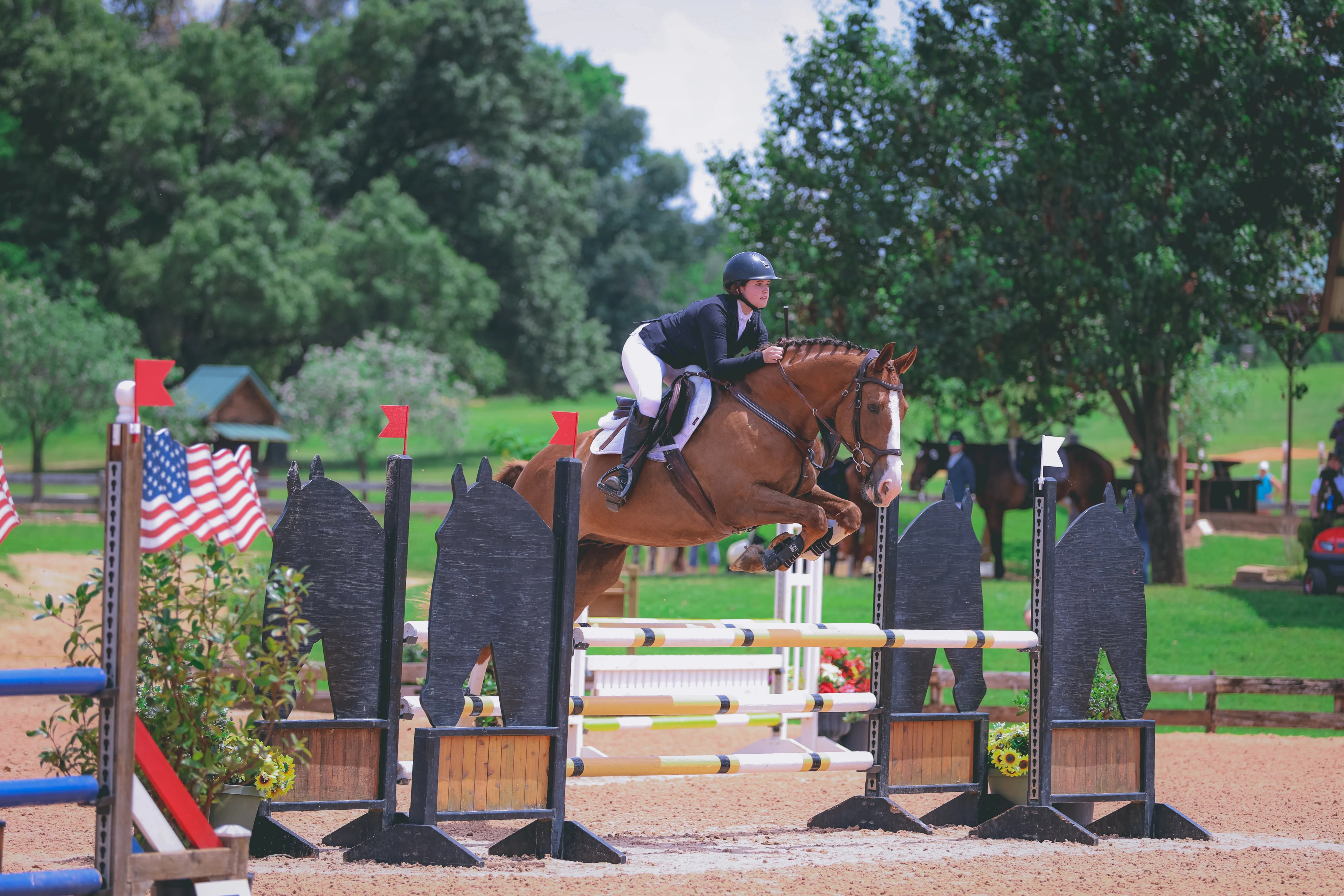 Dignified Competition Breeches - White