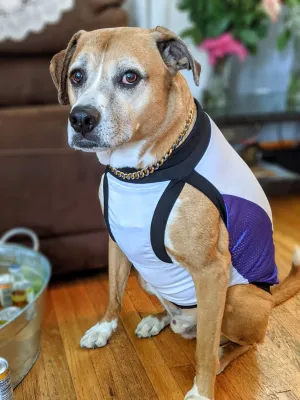 Dog Sports Jersey - White Body, Purple Mesh Sides, Black Trim