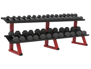 Dynamic 2-Tier Hex Style Dumbbell Rack