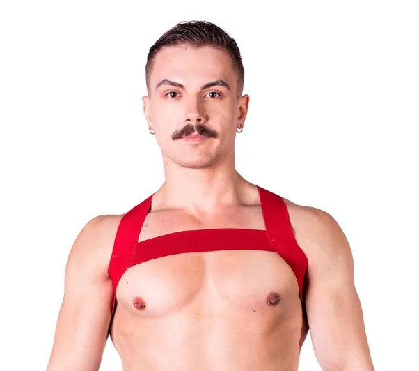 Prowler Red Sports Harness