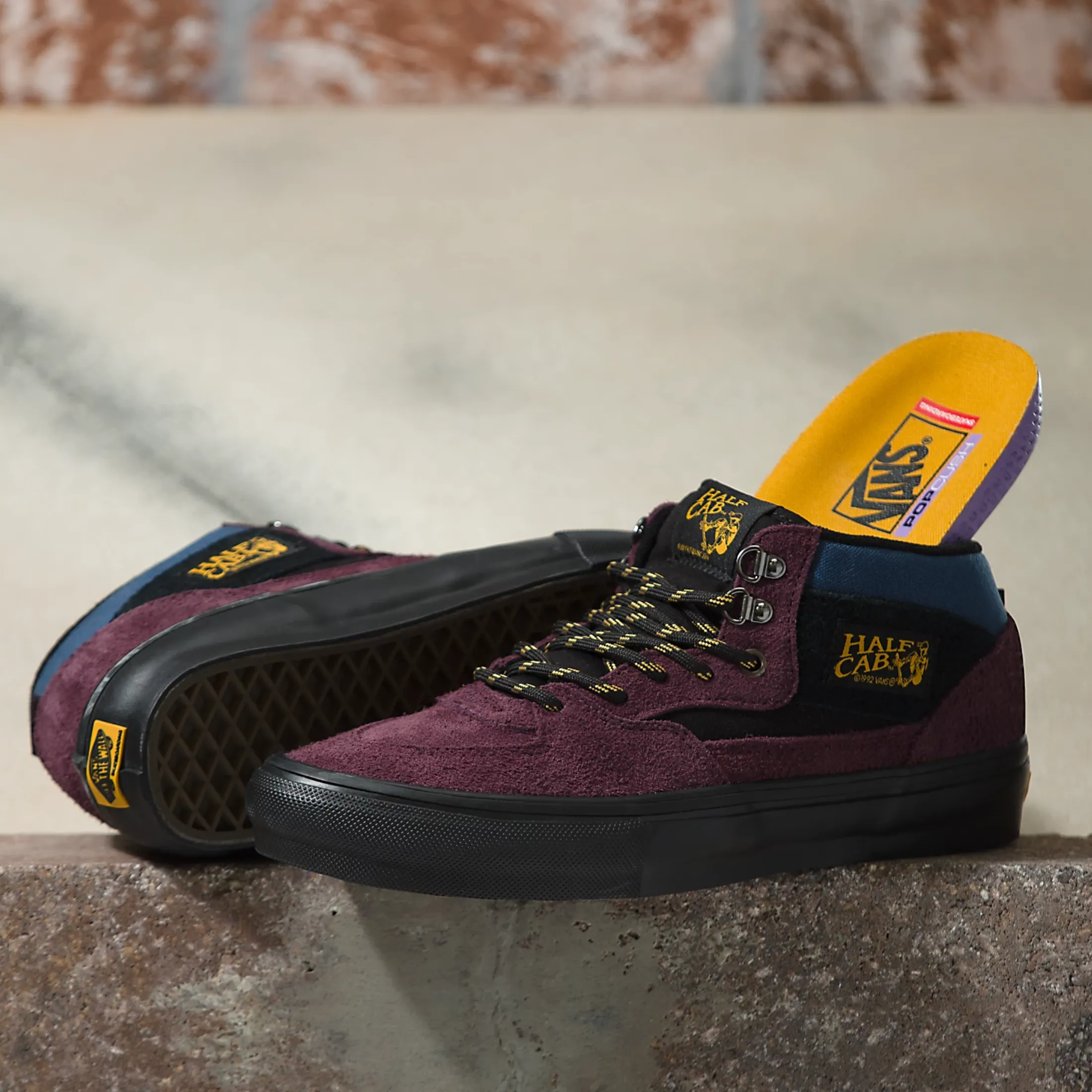 VANS SKATE HALF CAB OUTDOOR PURPLE / BLACK